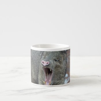 Javalina With His Mouth Wide Open Espresso Cup by WildlifeAnimals at Zazzle