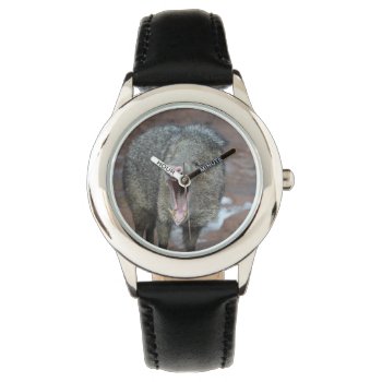 Javalina With His Mouth Wide Open Watch by WildlifeAnimals at Zazzle