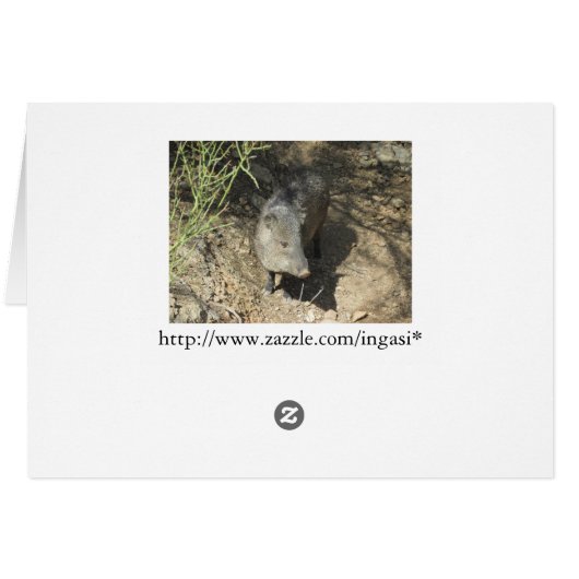 Javelina (Back Horizontal)