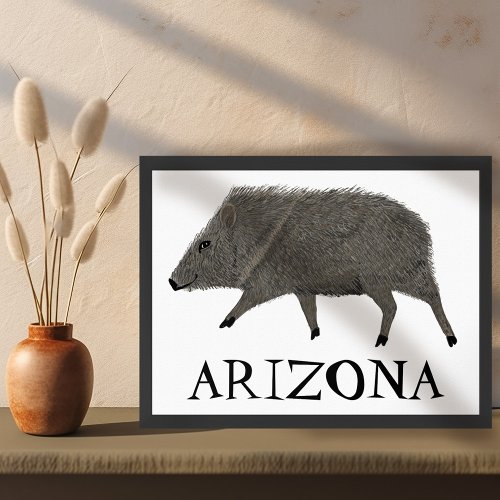 Javelina Desert Animals ARIZONA Art Poster