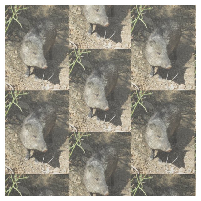 Javelina Fabric (Swatch)