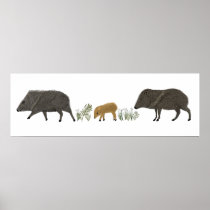 Javelina Family Portrait Desert Animals Poster