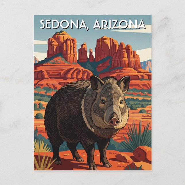 Javelina in Sedona Arizona Travel Vertical Postcard (Front)