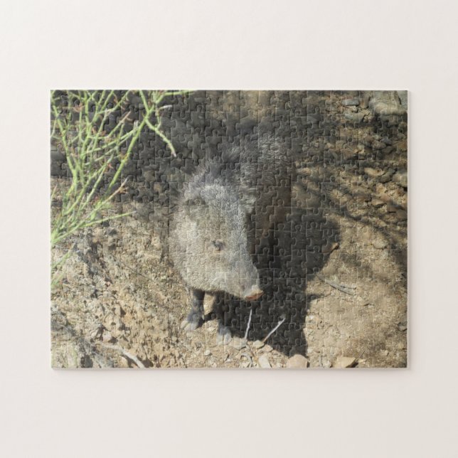 Javelina Jigsaw Puzzle (Horizontal)