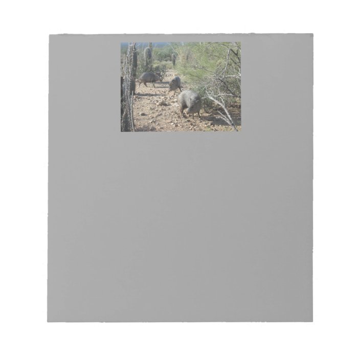 Javelina Memo Notepads