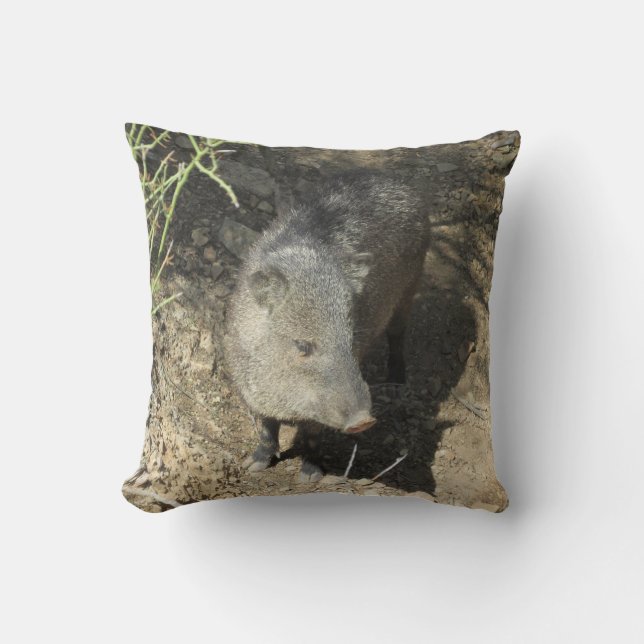 Javelina Throw Pillow (Front)