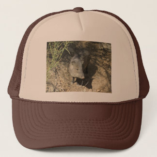 Javelina Trucker Hat