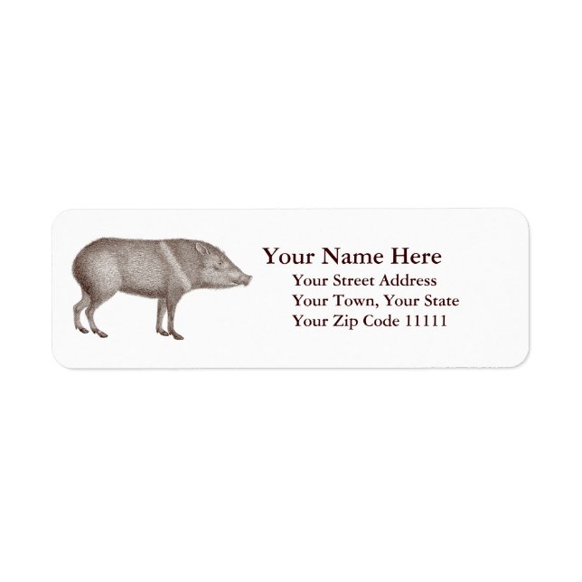 Javelinas Collared Peccaries Unique Arizona Label (Front)