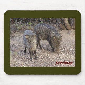 Javelinas mousepad