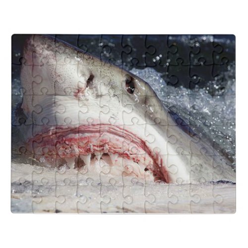JAWS Shark Puzzle