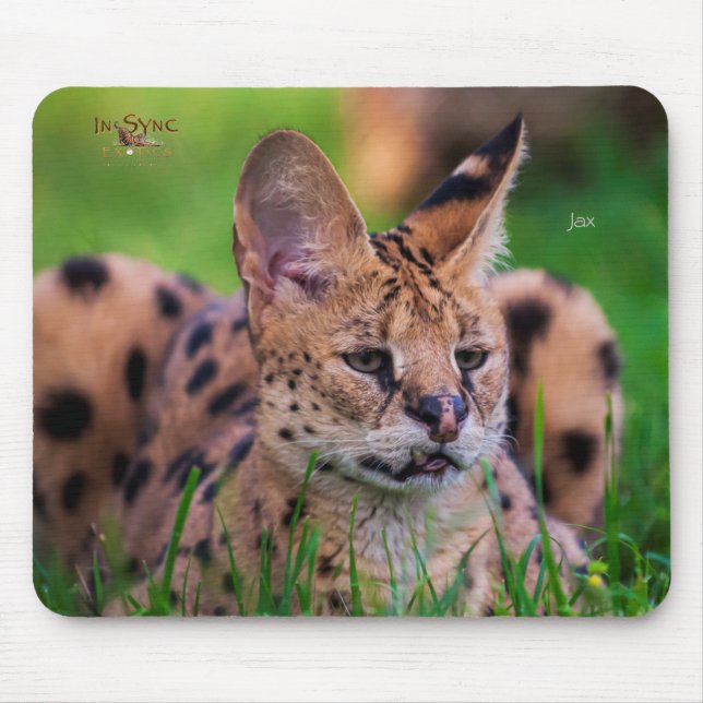 Jax Mouse Pad (Front)