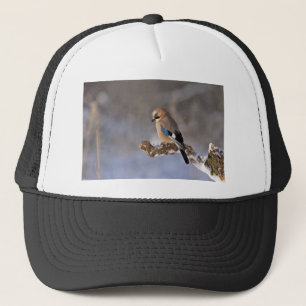 Jay Bird in Winter Trucker Hat