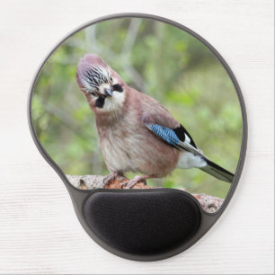 Jay bird wildlife photograph gel mouse pad