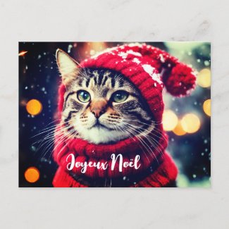 Jazzy Kitty in red sweater - Noel