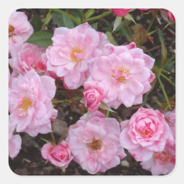 Jeanne LaJoie Rose #1-2 Stickers (Front)