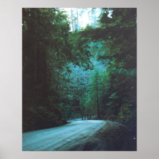 Jedediah Smith Redwoods State Park, CA Poster