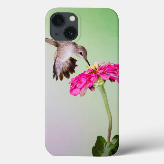 Jeff Davis County, Texas Case-Mate iPhone Case (Back)