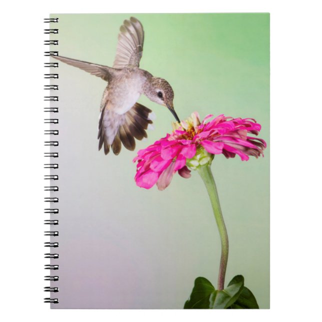 Jeff Davis County, Texas Notebook (Front)