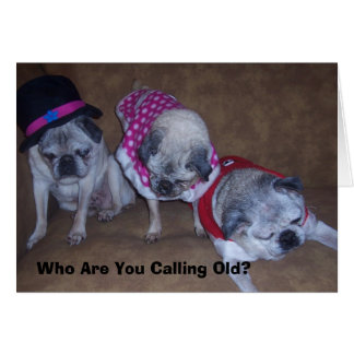 Jeff, Gina, Grandpa, Who Are You Call... Cards