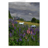 Jefferson Lupine Mindscape (Front)