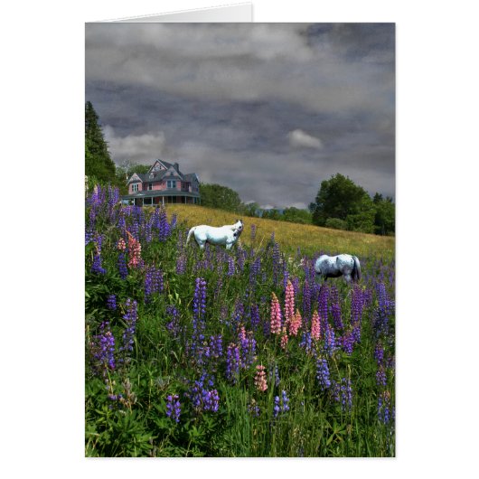 Jefferson Lupine Mindscape Cards (Front)