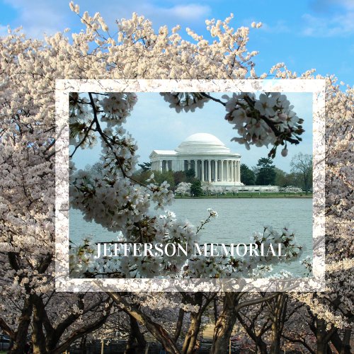 Jefferson Memorial Cherry Blossoms Tidal Basin Postcard