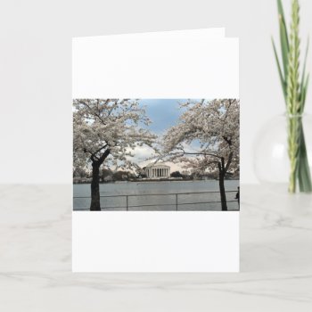 Jefferson Memorial Washington Dc Cherry Blossoms Card by Honeysuckle_Sweet at Zazzle