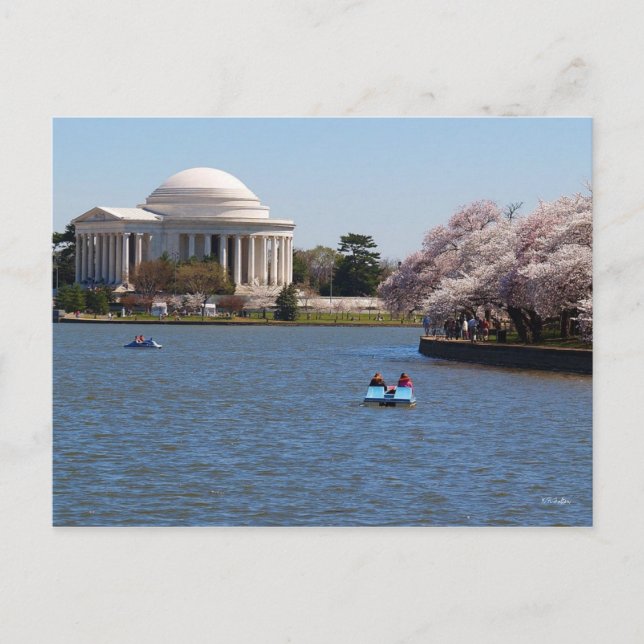 Jefferson Memorial Washington DC Postcard (Front)