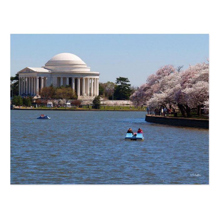 Jefferson Memorial Washington DC Postcards