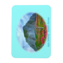 Jeju Island Korea (제주도)