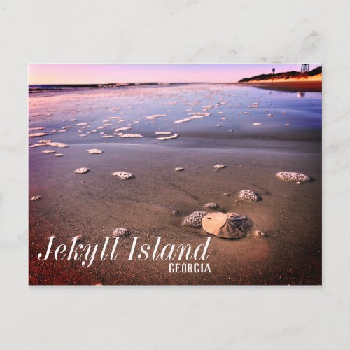 Jekyll Island Georgia Sand Dollar Beach Postcard