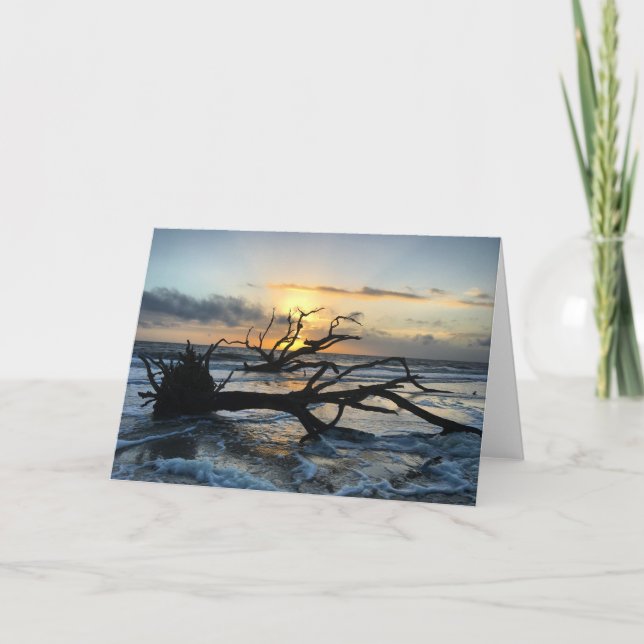 jekyll island sunrise card #3 (blank inside) (Front)