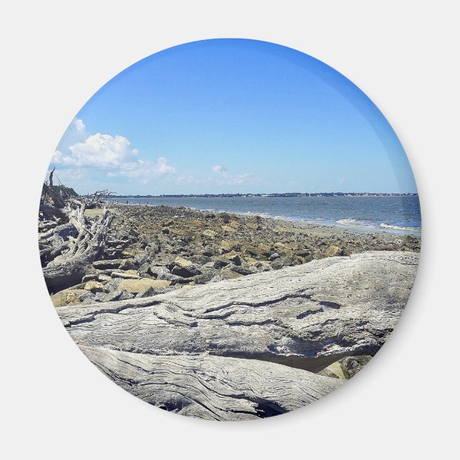 Jekyll View Magnet (Front)