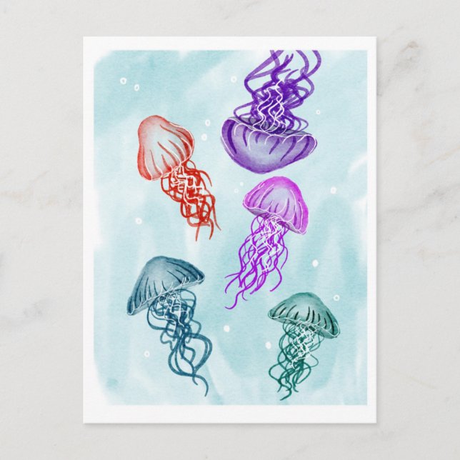 Jellies Postcard (Front)
