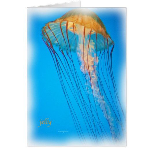 jelly_2643_Paint Cards (Front)