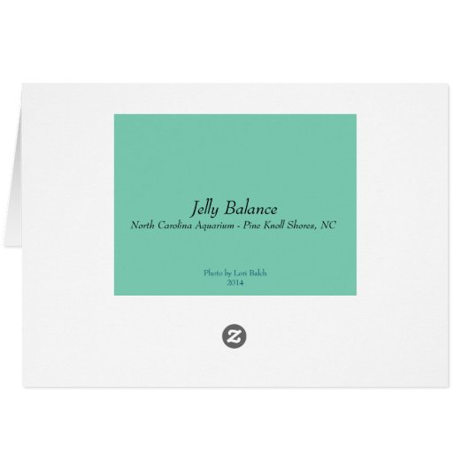 Jelly Balance Cards (Back Horizontal)