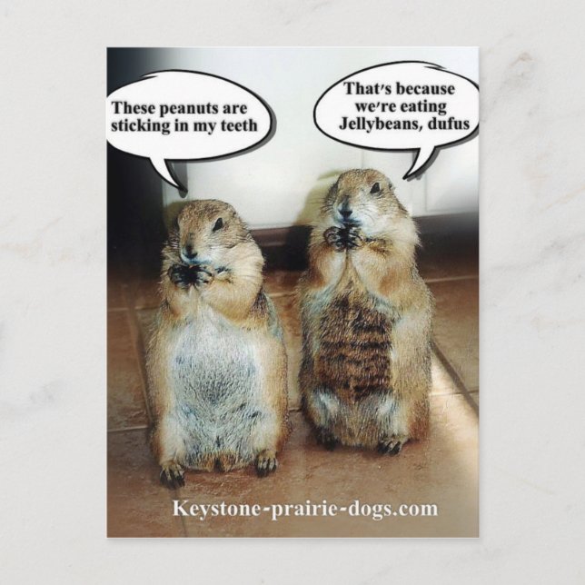 Jelly beans postcard (Front)