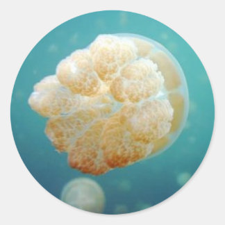 Jelly Classic Round Sticker