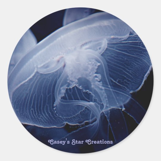 Jelly Close-up Classic Round Sticker