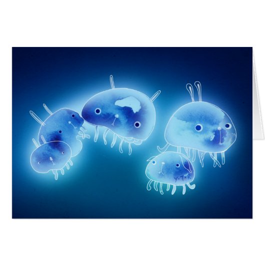 Jelly fish 2013 cards (Front Horizontal)