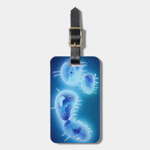 Jelly fish 2013 luggage tag