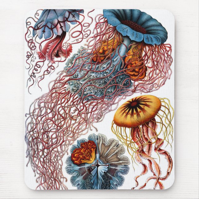 Jelly Fish by Ernst Haeckel Mouse Pad (Front)