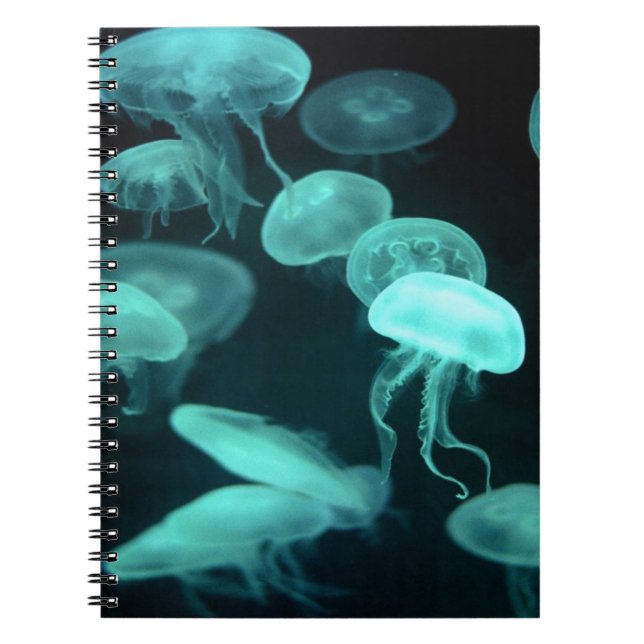 jelly fish glowing notebook (Front)