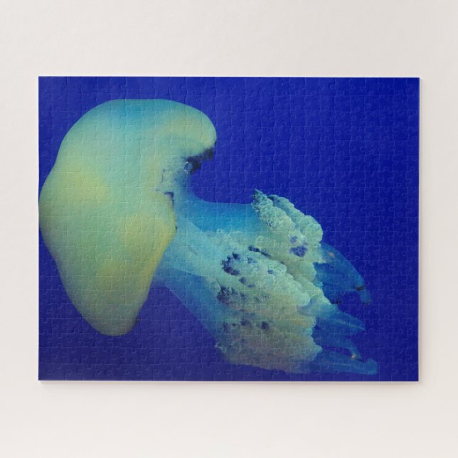Jelly Fish Jigsaw Puzzle (Horizontal)