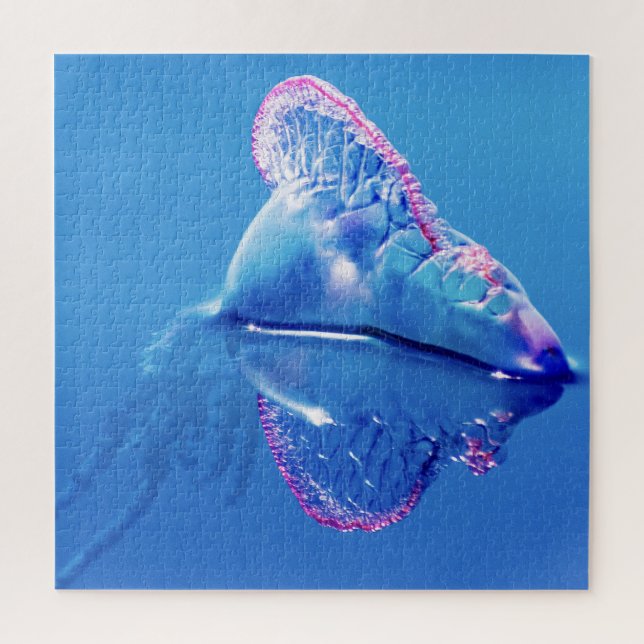 Jelly Fish Portugese Man of War Jigsaw Puzzle (Vertical)