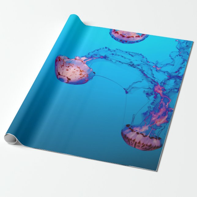 JELLY FISHES UNDERWATER WRAPPING PAPER (Unrolled)