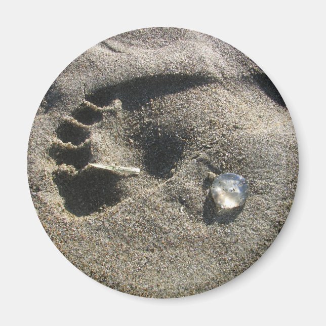 Jelly Foot Magnet (Front)