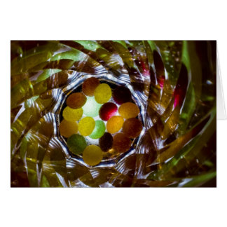 jelly tots 2 cards