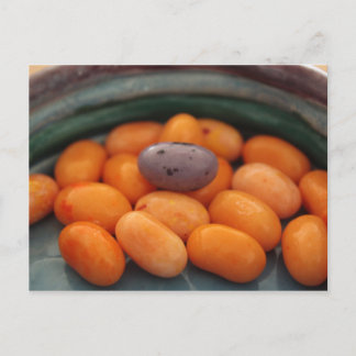 Jellybean John 6:27 Postcard