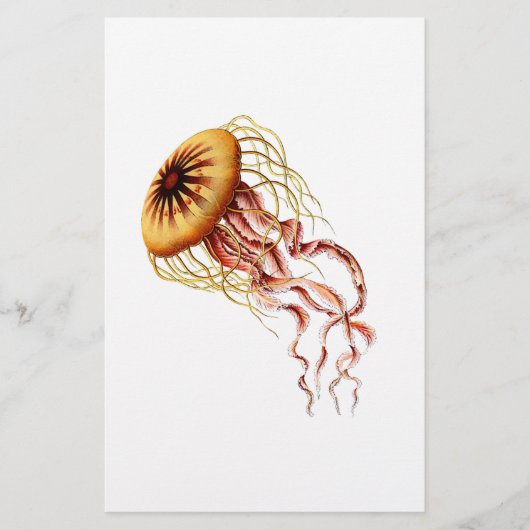 jellyfish (Front)